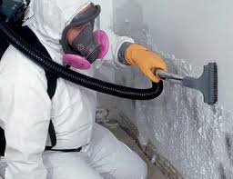 Best Crawl Space Mold Remediation in Perry Park, CO